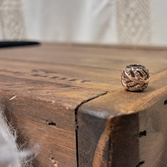 Pandora Jewelry - Pandora Rose "Light As A Feather" Bracelet Charm